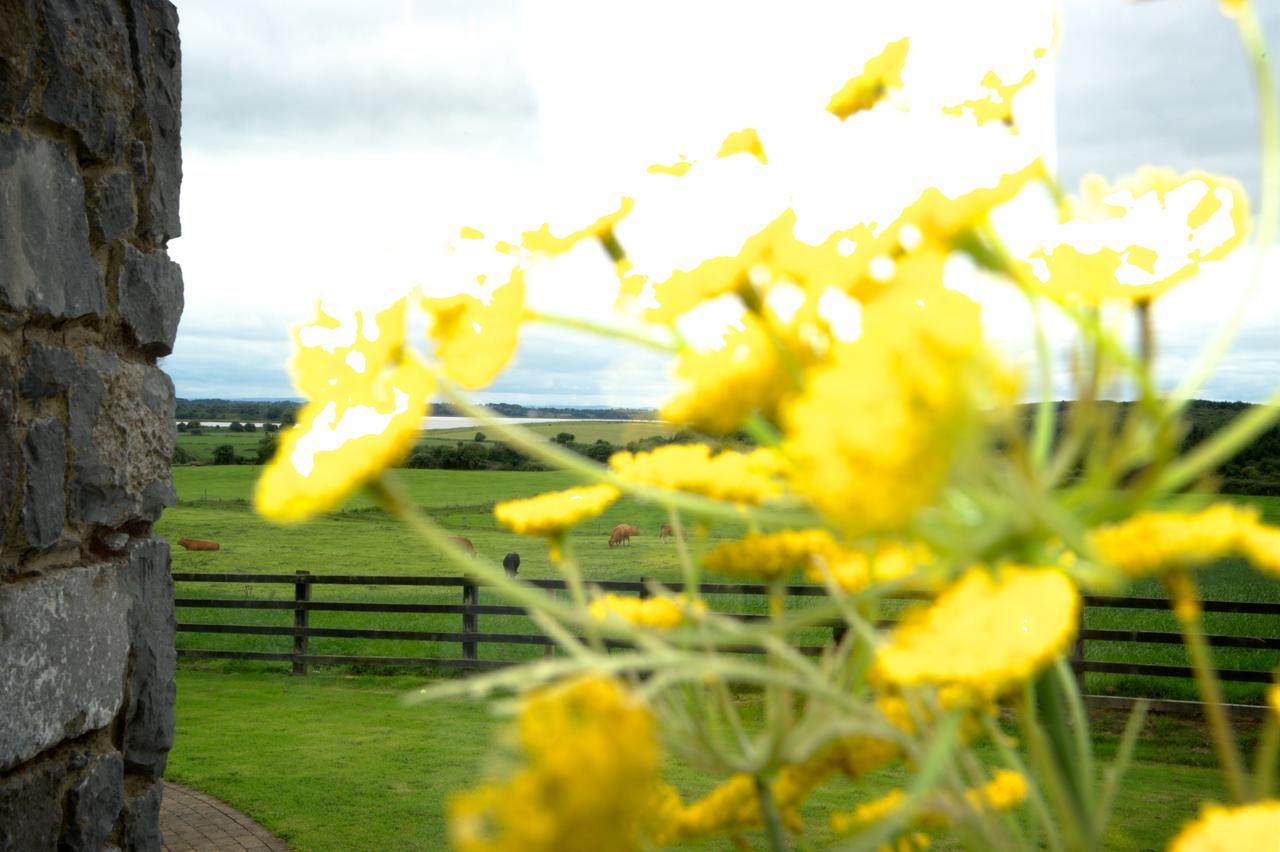 Bunratty Meadows Bed & Breakfast Εξωτερικό φωτογραφία