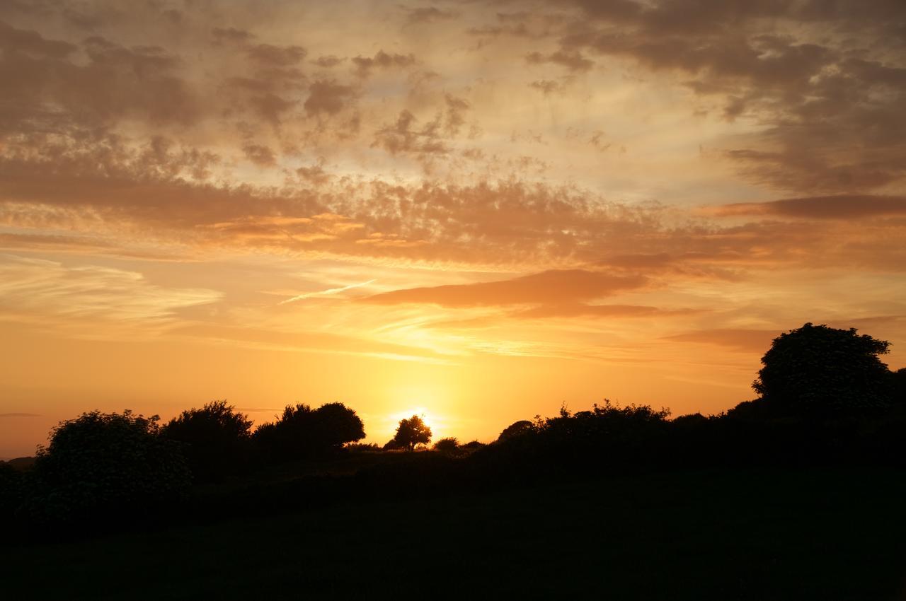 Bunratty Meadows Bed & Breakfast Εξωτερικό φωτογραφία