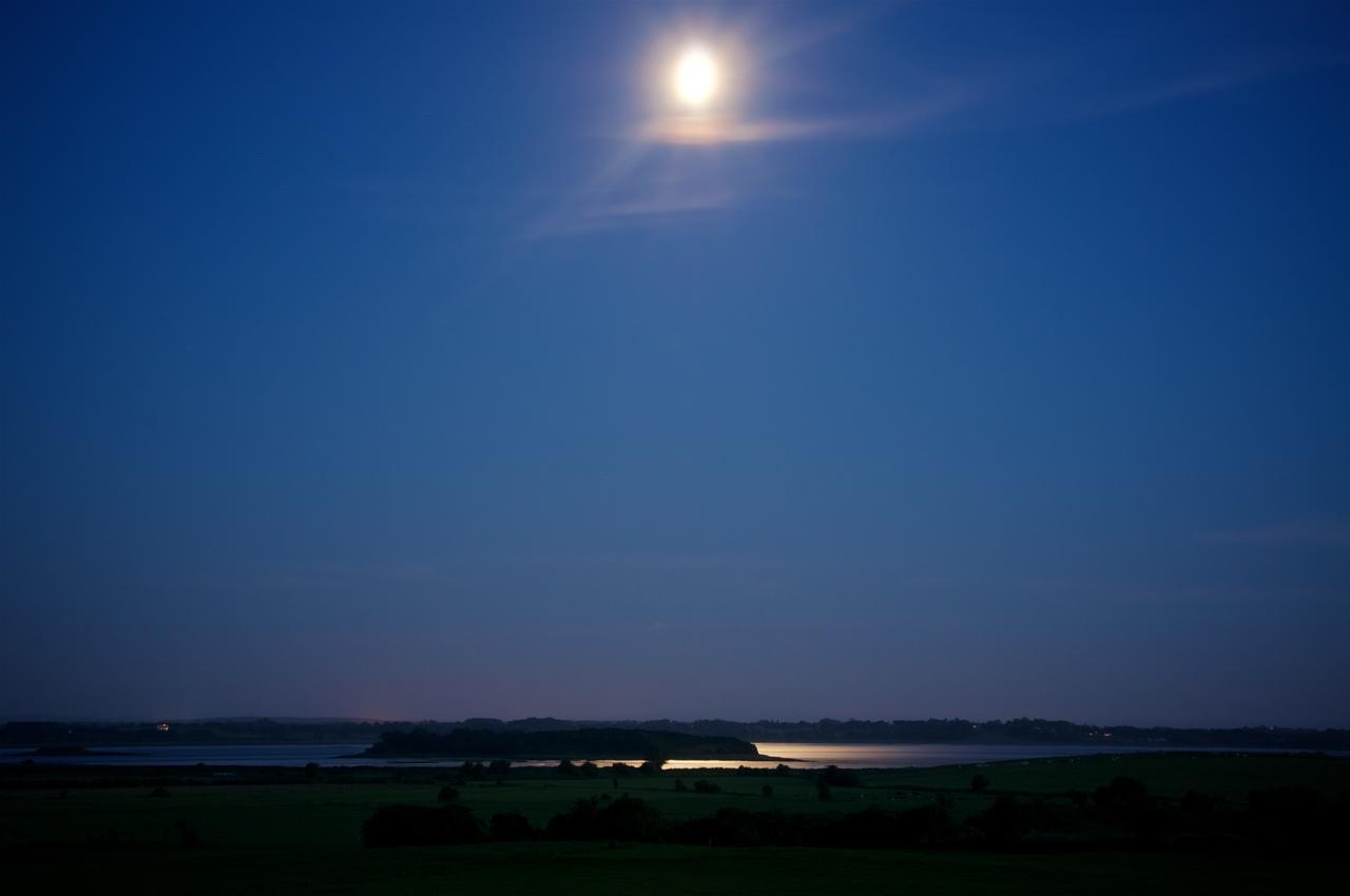 Bunratty Meadows Bed & Breakfast Εξωτερικό φωτογραφία